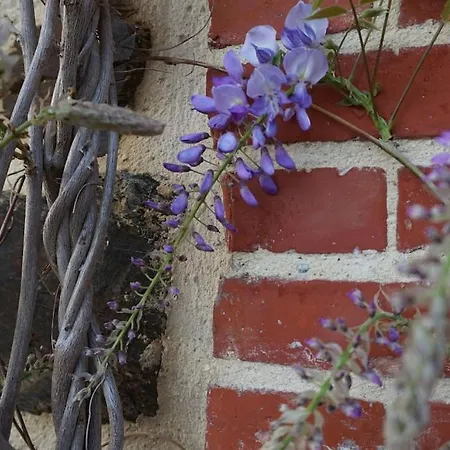 펜션 Au Fil De L'eau