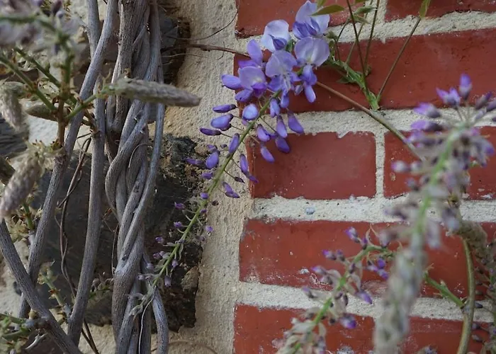 Hébergement de vacances Au Fil De L'eau