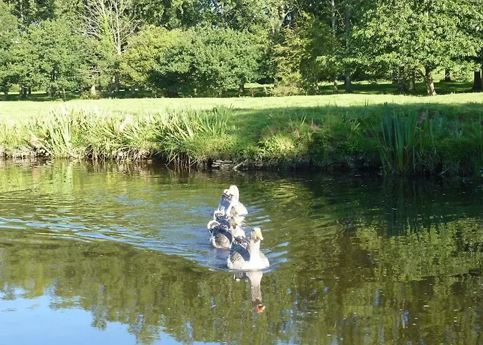 Au Fil De L'eau Le Vast