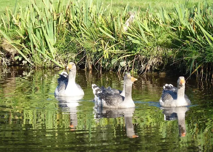 Au Fil De L'eau Le Vast